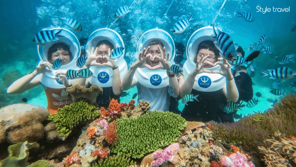 Snorkel or scuba dive among coral reefs