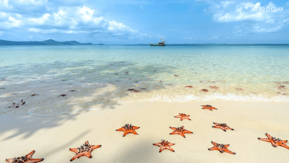 Visit Starfish Beach (Rach Vem) 