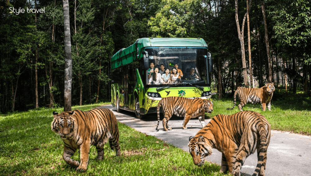 Explore Vinpearl Safari