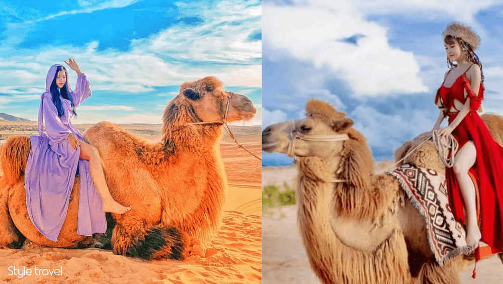 Ride a Camel at Bau Trang