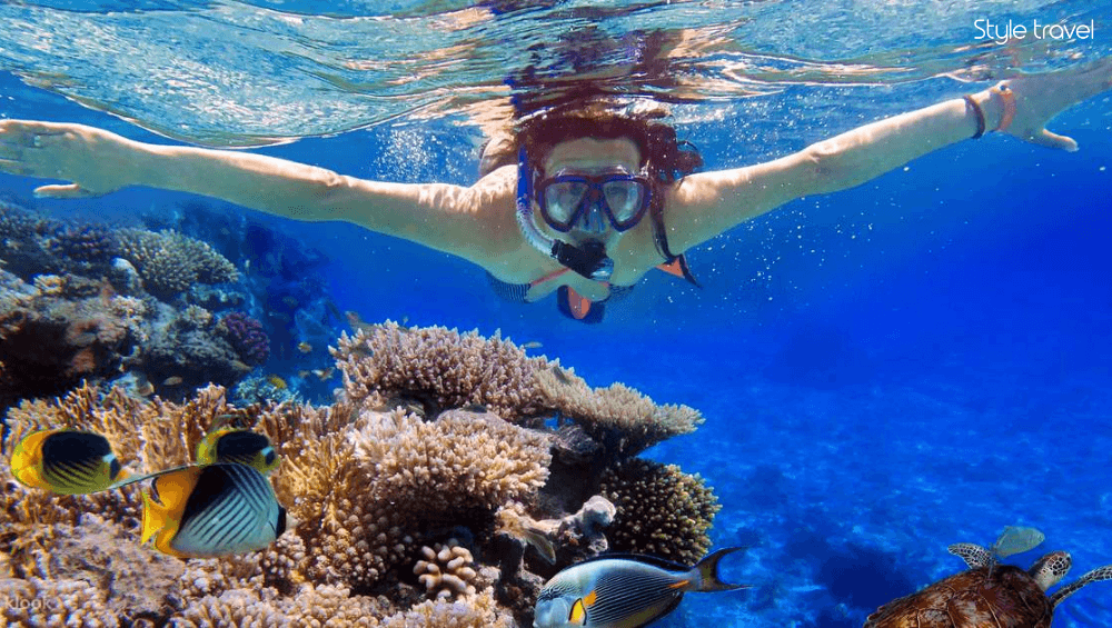 Snorkel Around Hon Ghenh Island