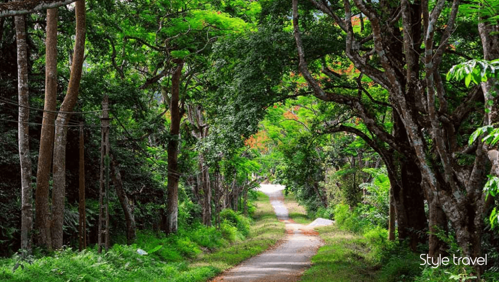 Cuc Phuong Park