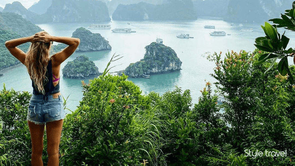 Visit Ti Top Island
