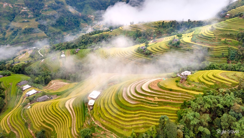Hoang Su Phi