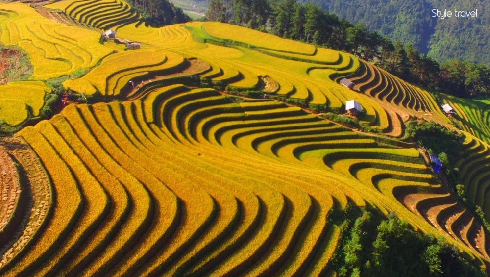 Mu Cang Chai