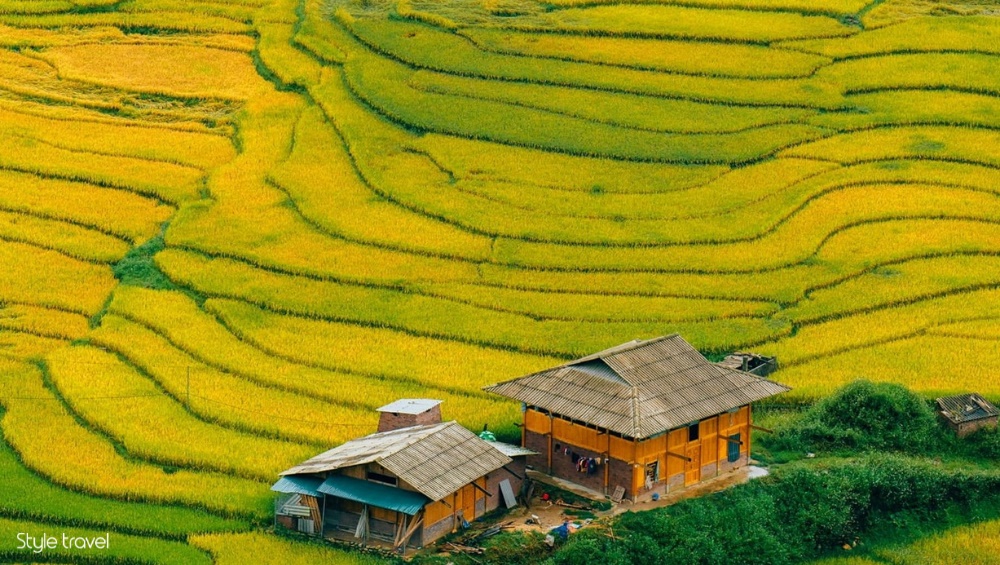 Sapa Lao Cai Ta Van Muong Hoa